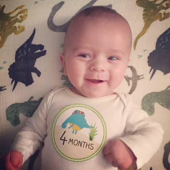 Meet your Posher, Chip - Picture 1 of 1